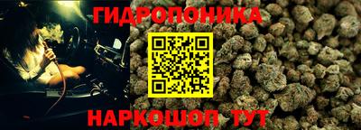 jwh Будённовск