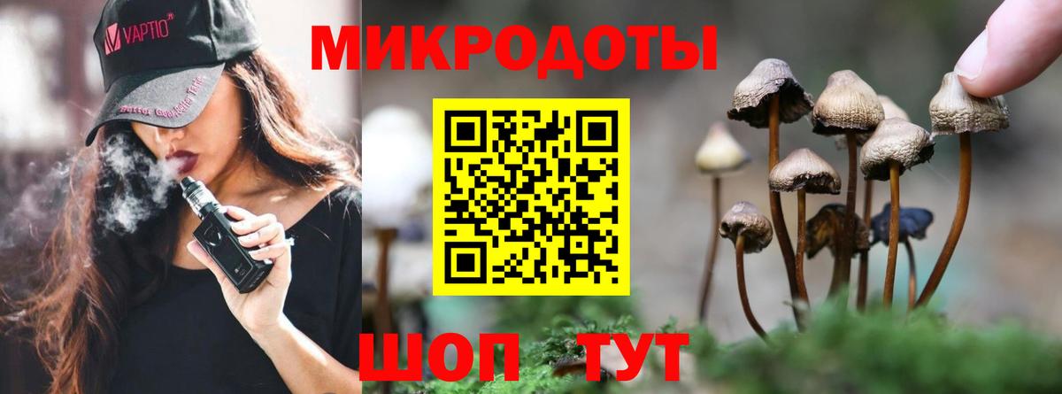 Псилоцибиновые грибы Psilocybine cubensis  Вход с VPN  Торжок 